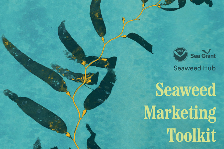 Seaweed Marketing Toolkit artistic painting of seaweed.