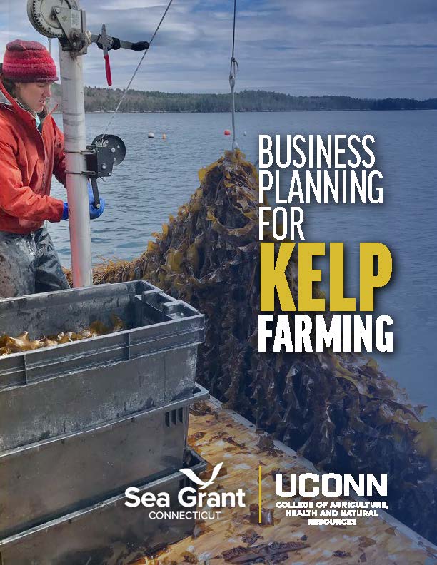 Cover of the Business Planning for Kelp Farming guidebook that shows a person on a boat pulling up kelp.